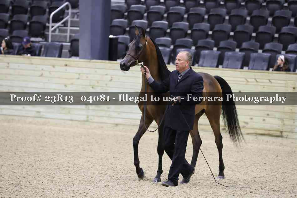 Proof 23R13_04081