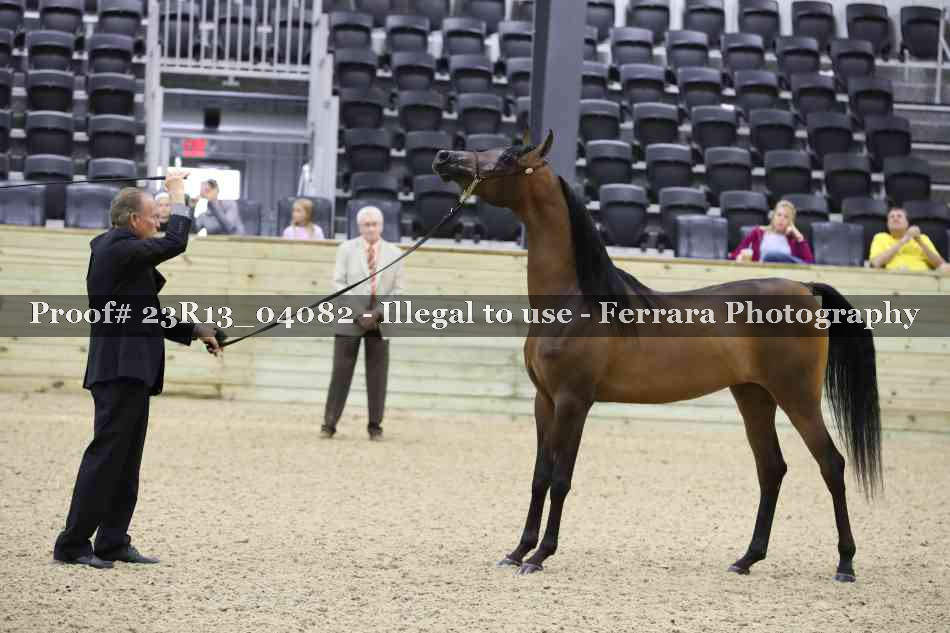 Proof 23R13_04082