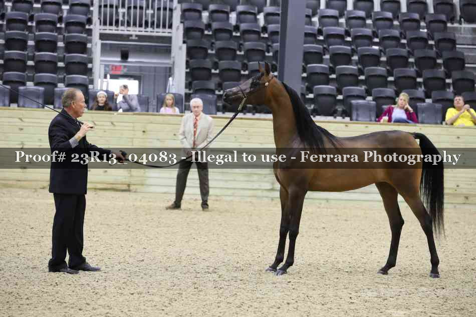 Proof 23R13_04083