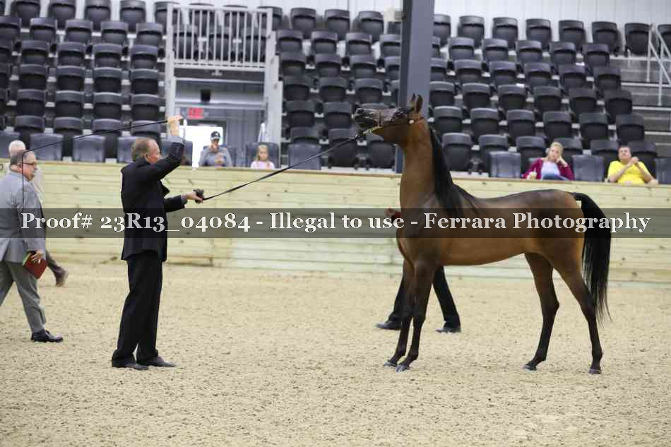 Proof 23R13_04084