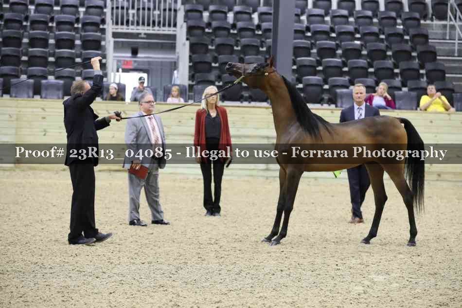 Proof 23R13_04085