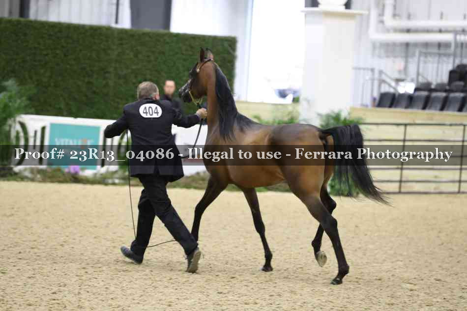 Proof 23R13_04086