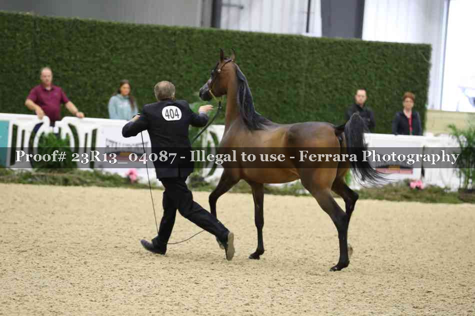 Proof 23R13_04087