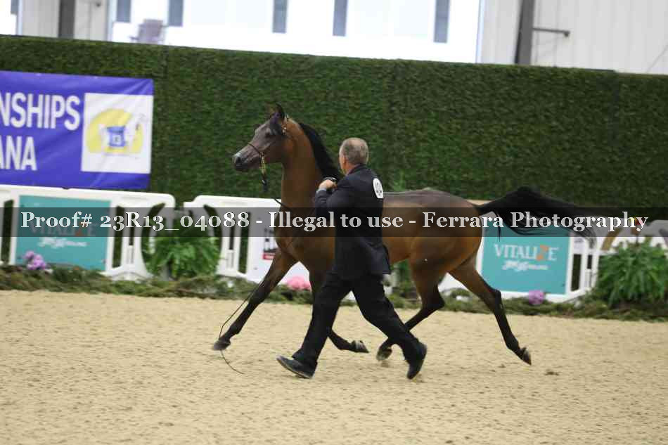 Proof 23R13_04088