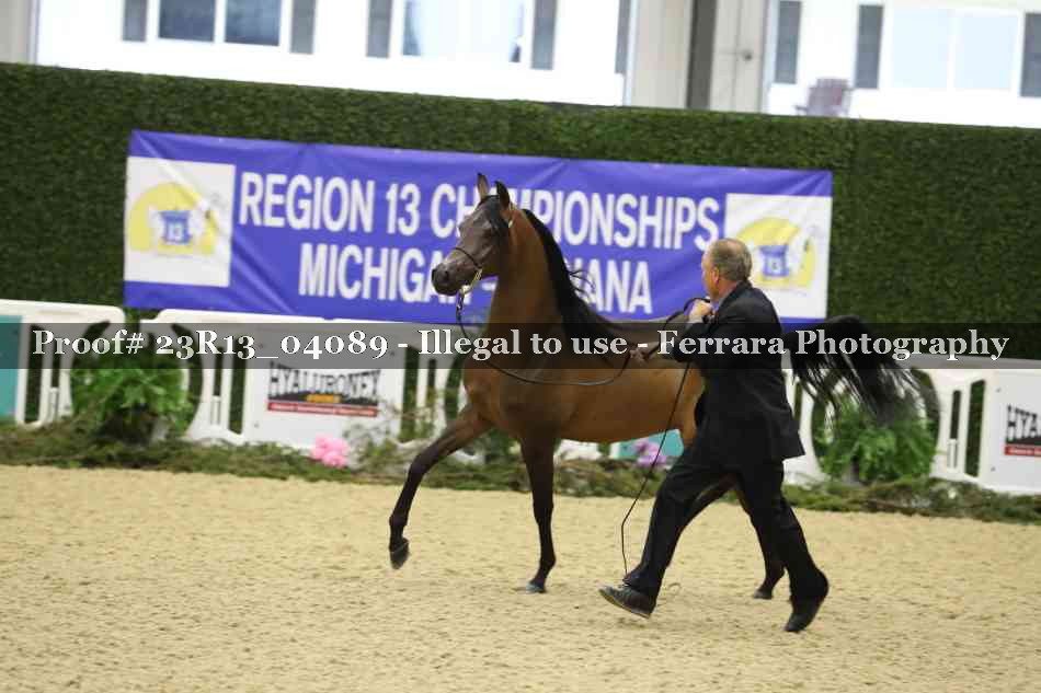 Proof 23R13_04089