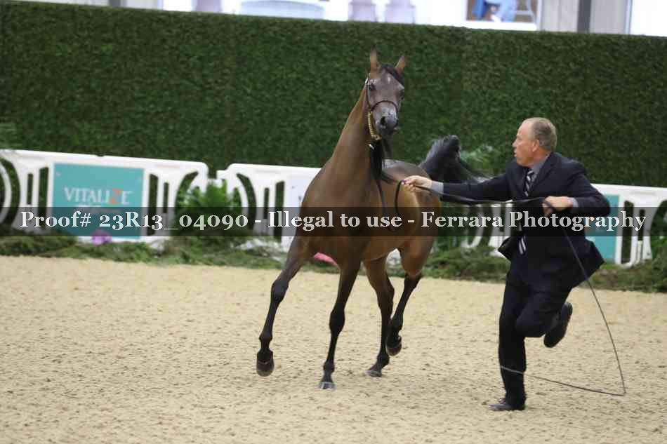 Proof 23R13_04090