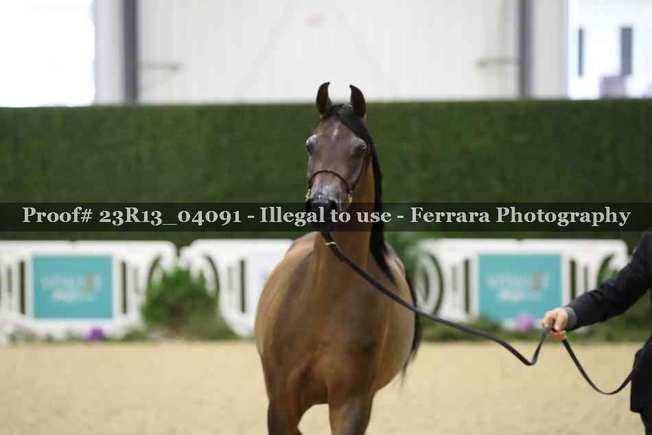 Proof 23R13_04091