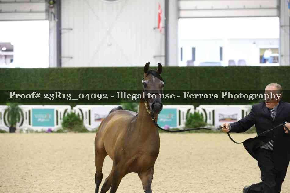 Proof 23R13_04092