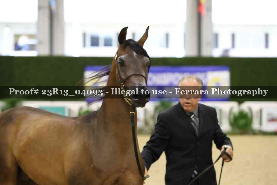 Proof 23R13_04093