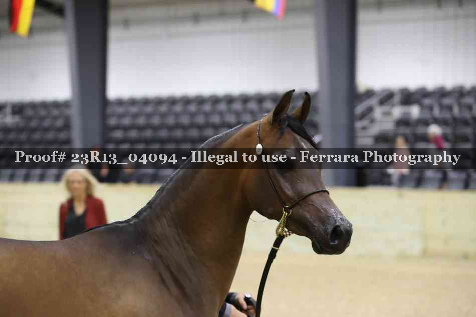 Proof 23R13_04094