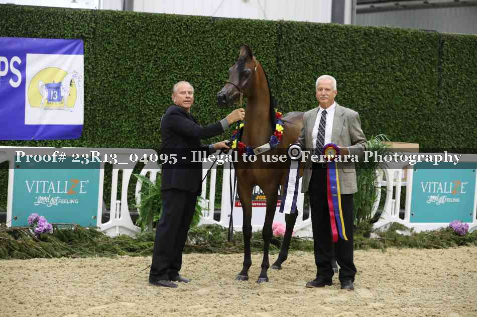 Proof 23R13_04095