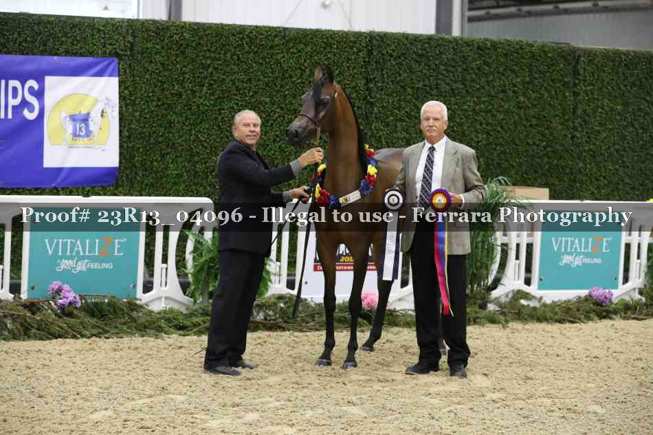 Proof 23R13_04096
