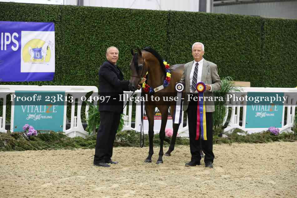 Proof 23R13_04097