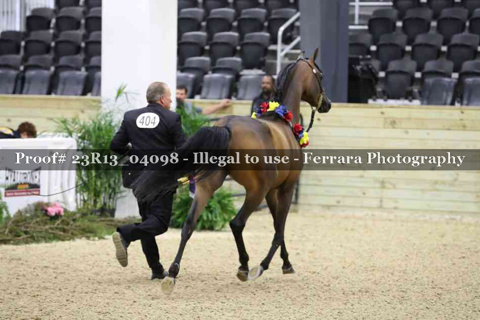 Proof 23R13_04098