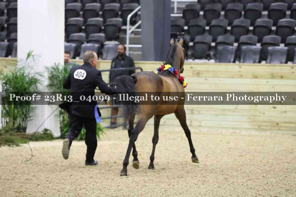 Proof 23R13_04099
