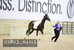 23R13_04115 proof