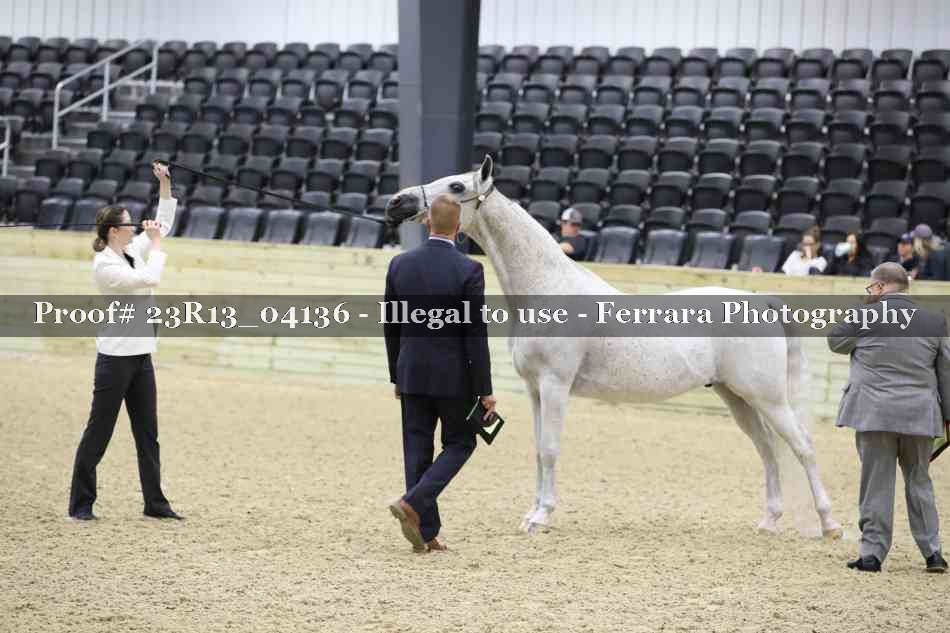 Proof 23R13_04136