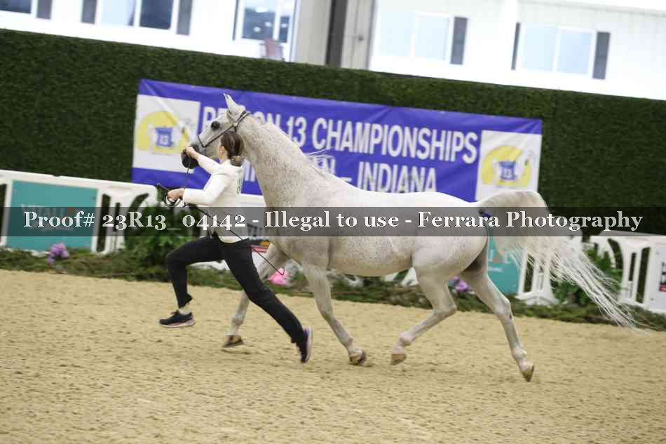 Proof 23R13_04142