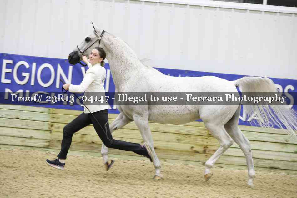 Proof 23R13_04147