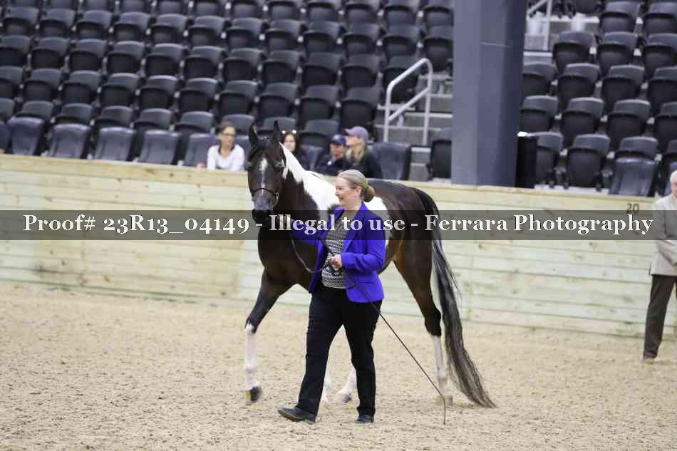 Proof 23R13_04149