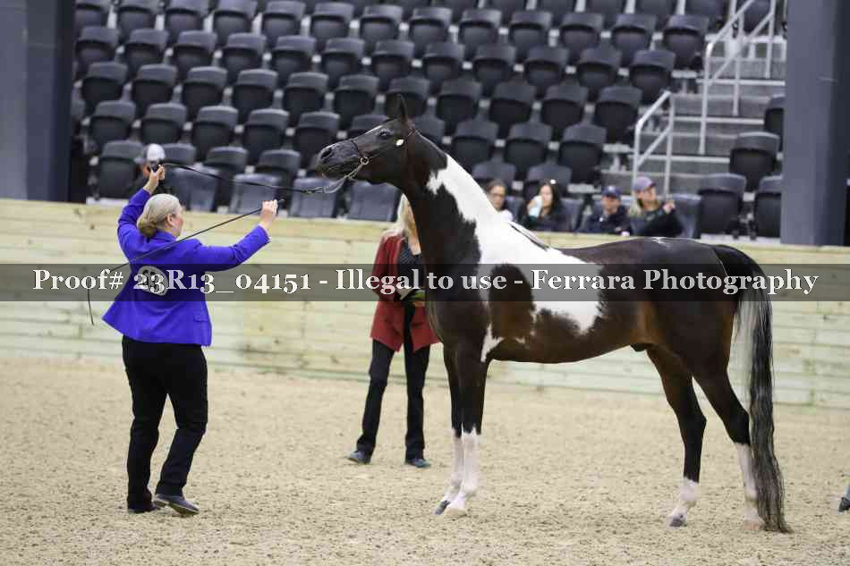 Proof 23R13_04151