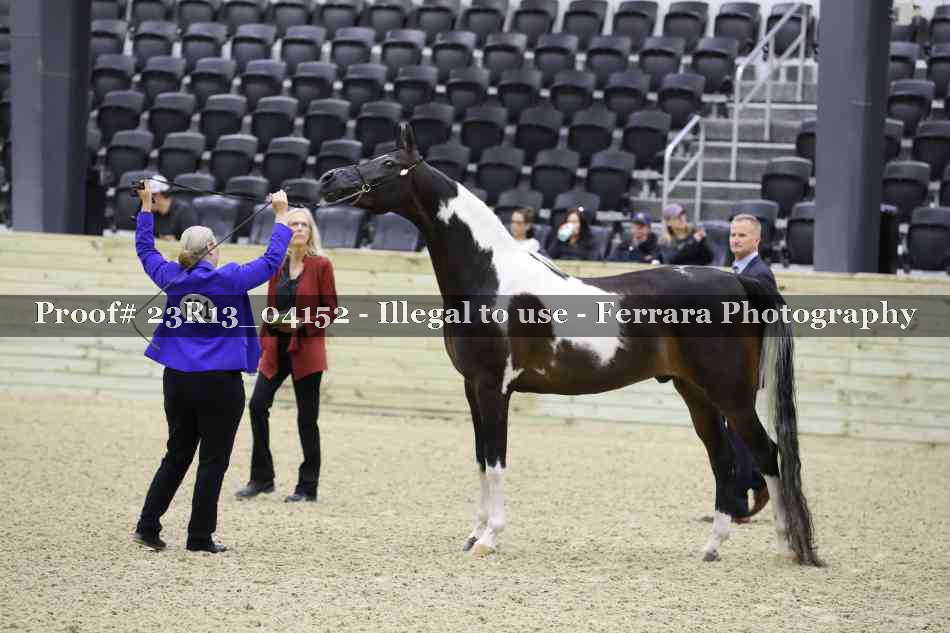 Proof 23R13_04152