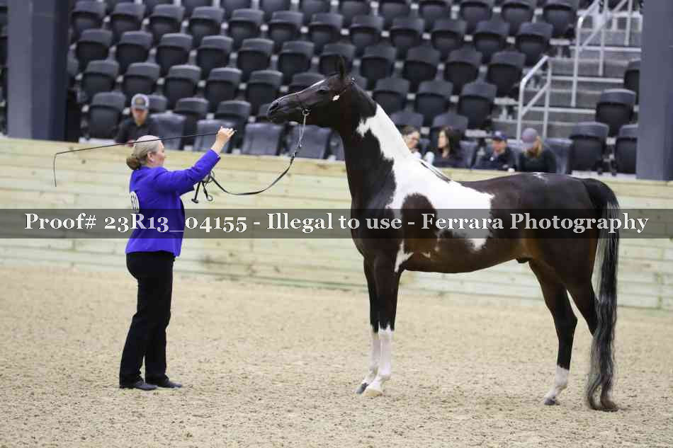 Proof 23R13_04155