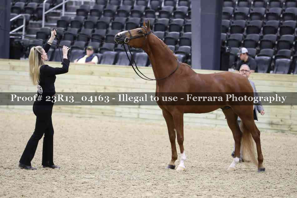 Proof 23R13_04163