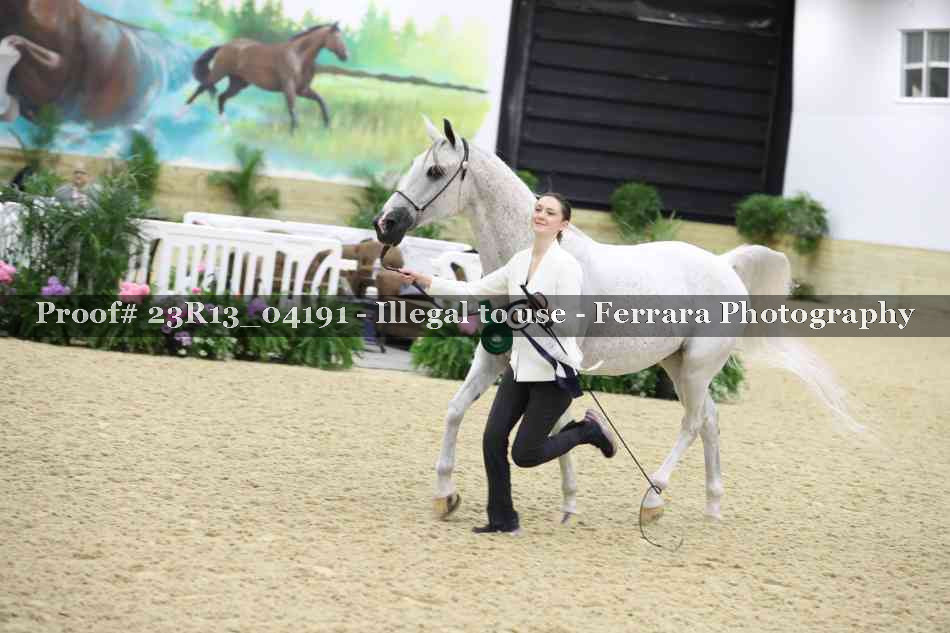 Proof 23R13_04191