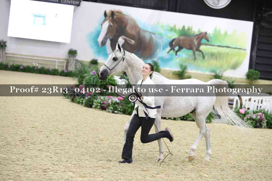 Proof 23R13_04192