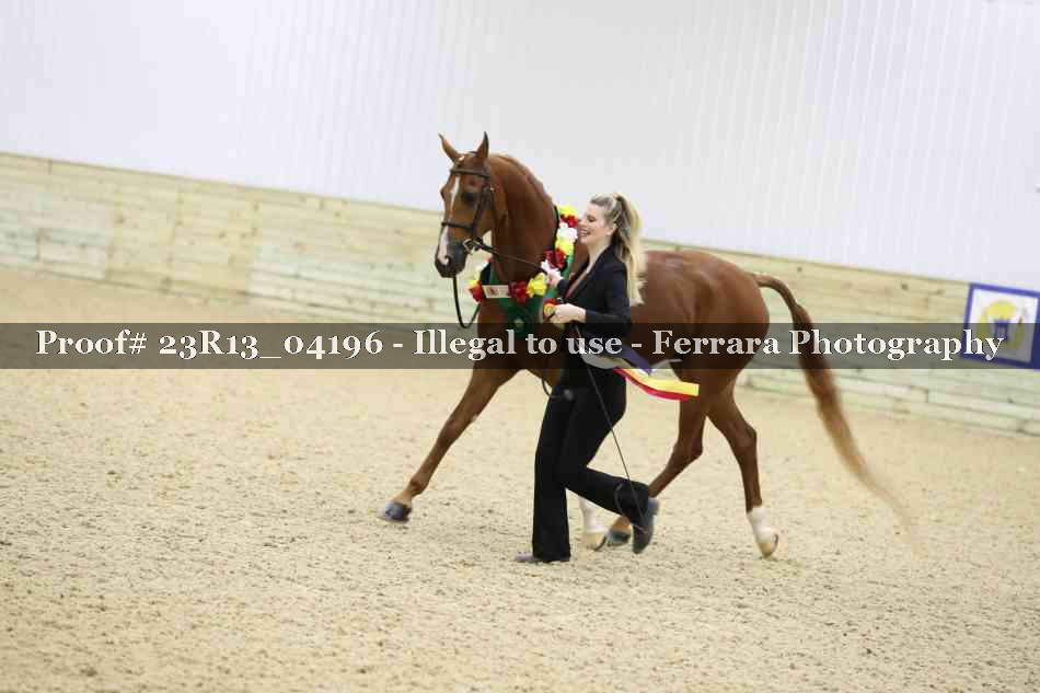 Proof 23R13_04196