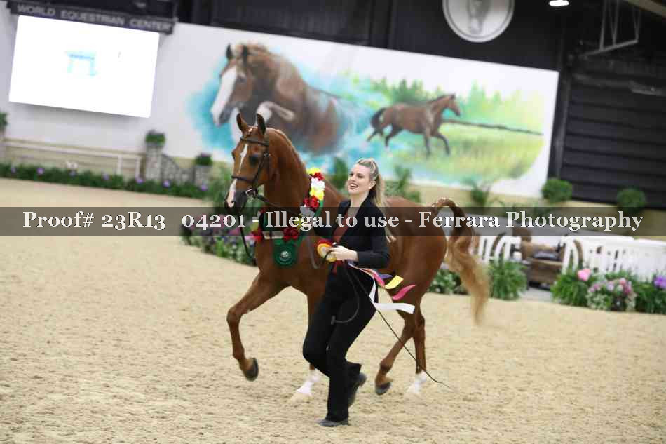 Proof 23R13_04201