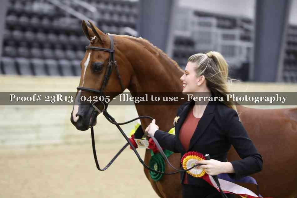 Proof 23R13_04205