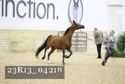 23R13_04218 proof