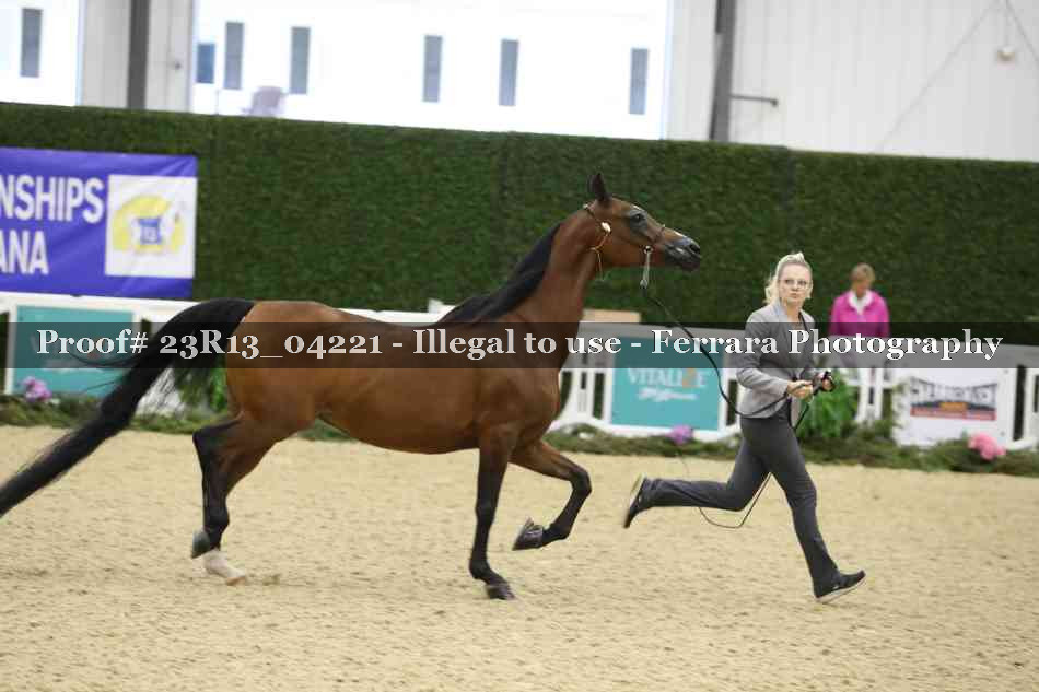 Proof 23R13_04221