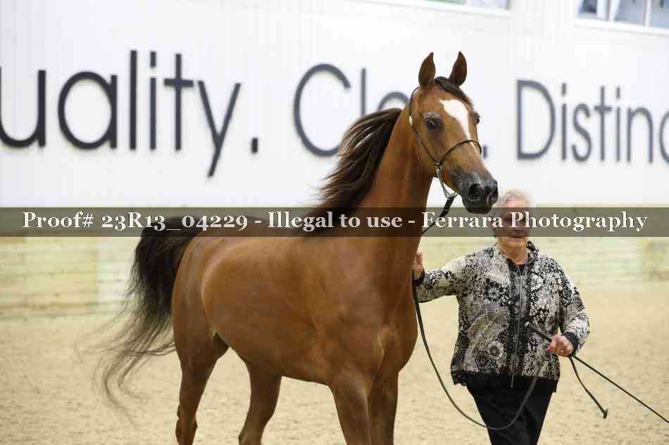 Proof 23R13_04229