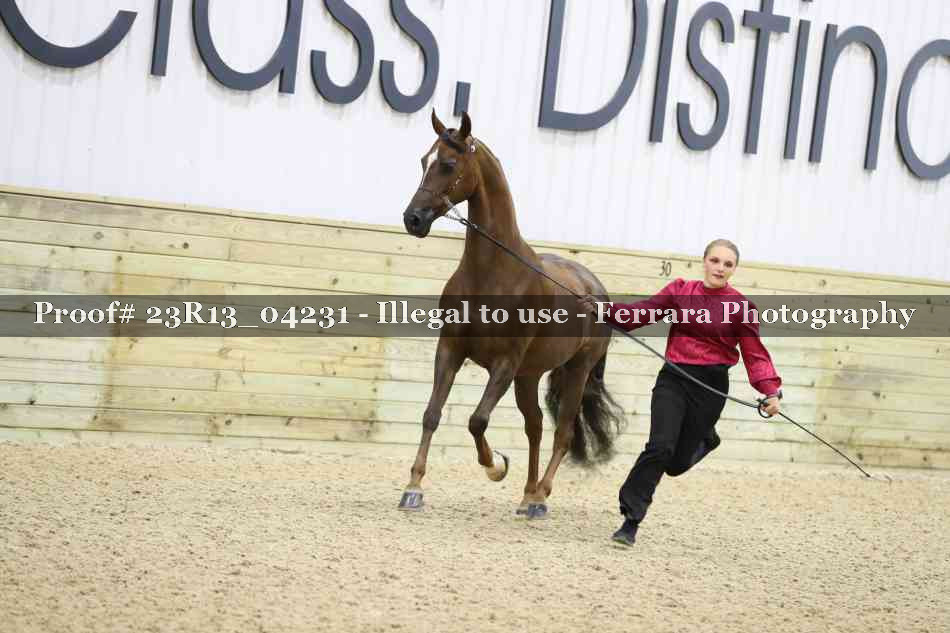 Proof 23R13_04231