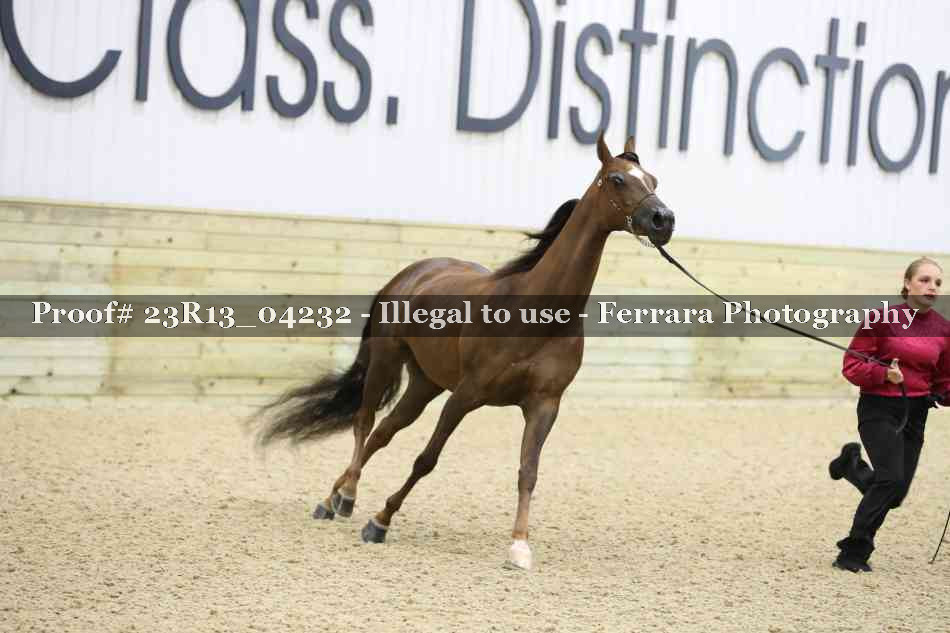 Proof 23R13_04232