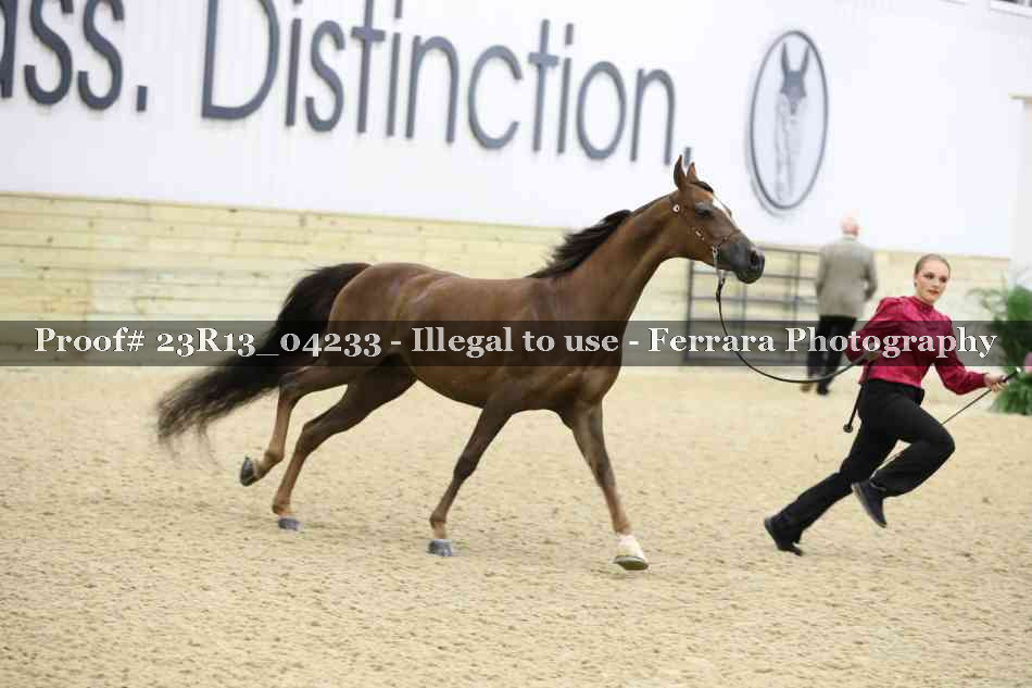 Proof 23R13_04233