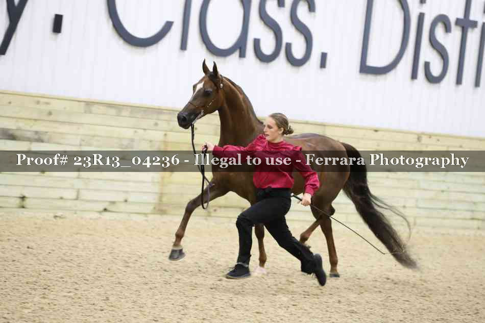 Proof 23R13_04236