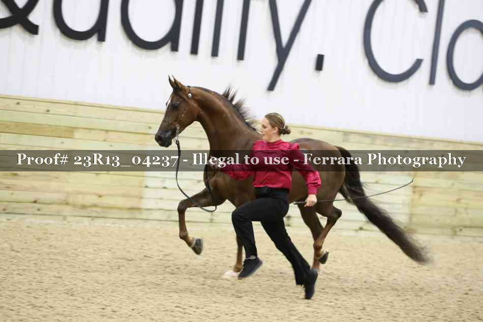 Proof 23R13_04237