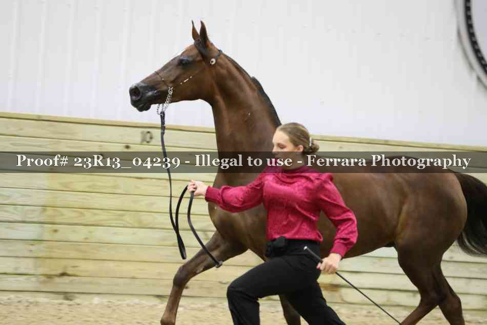 Proof 23R13_04239