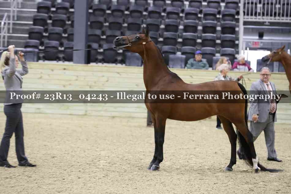 Proof 23R13_04243