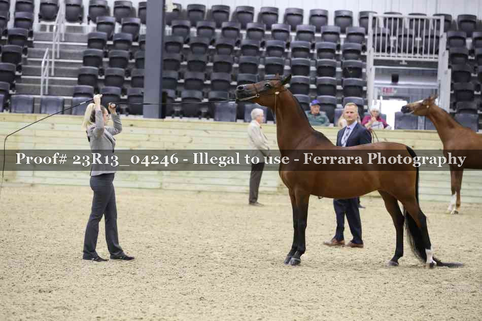 Proof 23R13_04246