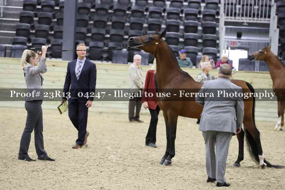 Proof 23R13_04247