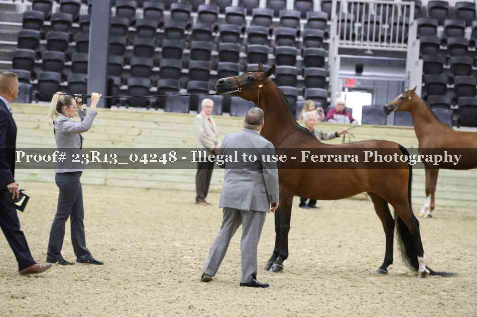 Proof 23R13_04248