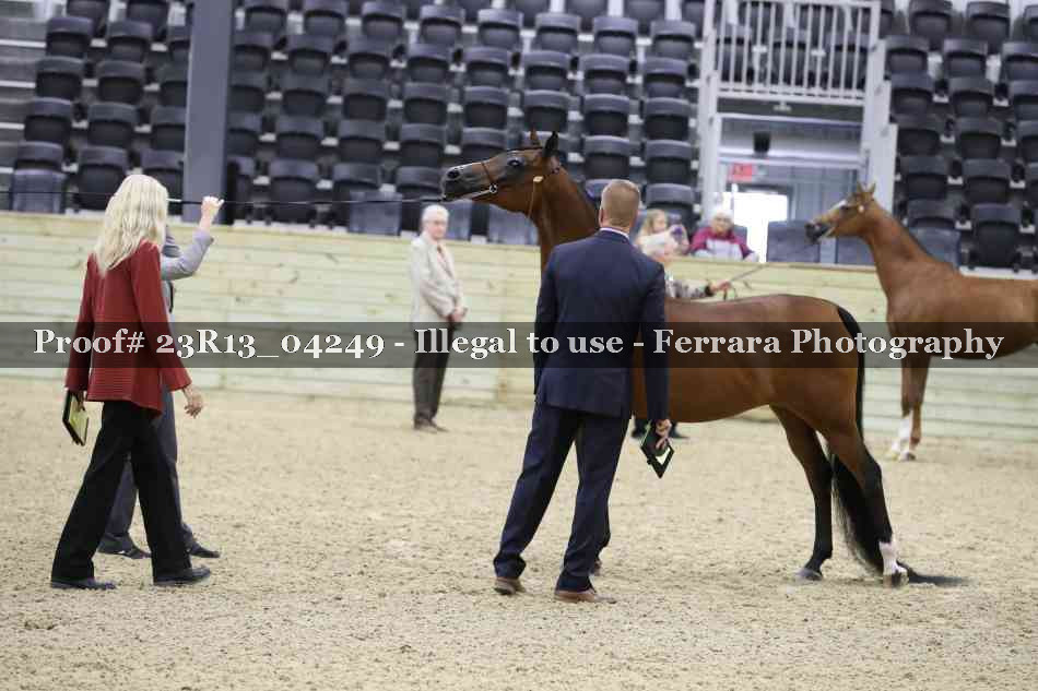 Proof 23R13_04249