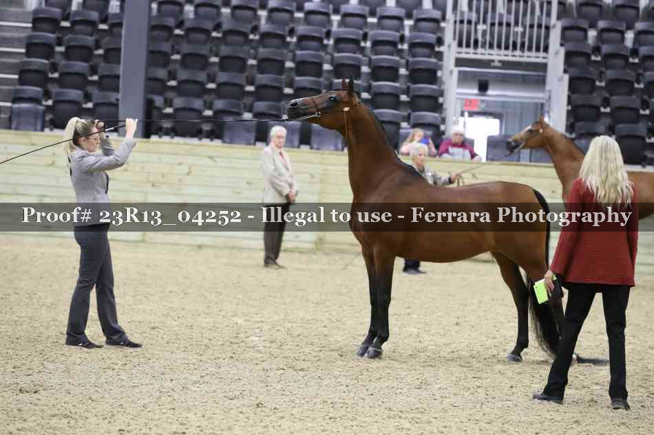 Proof 23R13_04252