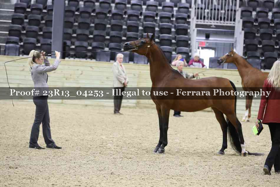 Proof 23R13_04253