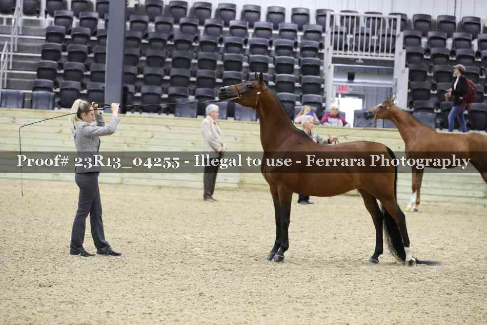 Proof 23R13_04255
